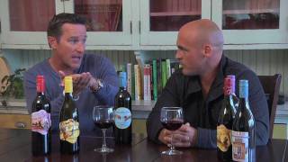 Organic Wine Vs SulfiteFree Wine [upl. by Oirad]