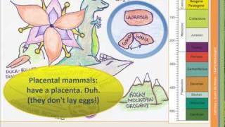 The Geologic Time Scale  Part 3 of 4 [upl. by Warner529]