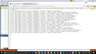 Show JSON data in a ListBox in C Visual Studio 2017 [upl. by Eilesor]