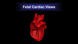 13FETAL CARDIAC VIEWS [upl. by Azilef754]