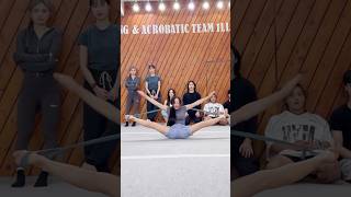 유연성 챌린지⁉️😱 Flexibility Challenge [upl. by Bellina]