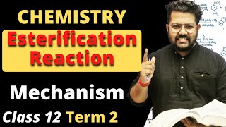 Nucleophilic Acyl Substitution Reaction Mechanism  Carboxylic Acid Derivatives Organic Chemistry [upl. by Kinna]