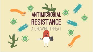 What Is Antimicrobial Resistance AMR Animation Video [upl. by Helfant]