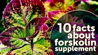 10 Facts About Forskolin Supplement [upl. by Alrahs]