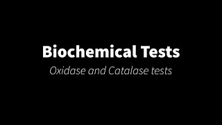 Biochemical tests Oxidase and catalase tests [upl. by Nanice912]