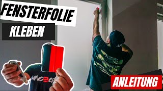 Fensterfolie einfach selber Anbringen ⎜ANLEITUNG 🤙🏼 [upl. by Dinerman]