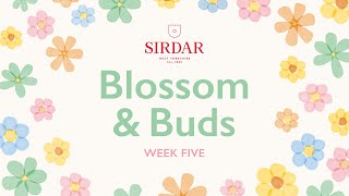 Sirdar Blossom amp Buds Crochet Along Week 5  In Full Bloom [upl. by Drofnil]