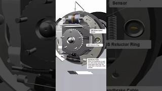 Componentes internos de los frenos de tambor 🚘 [upl. by Girardi822]