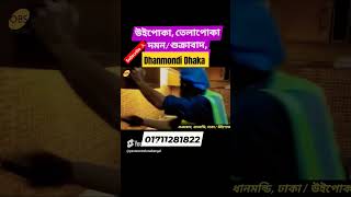 Sukrabad Dhaka PestControlbd termitecontrol cockroachcontrol nearpest shorts viral [upl. by Remot]