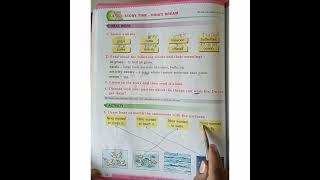 story time Ninas dreamclass 2 English workbook [upl. by Adlei]