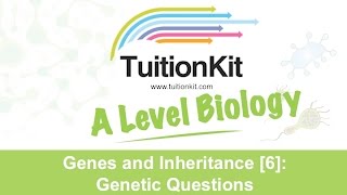 Genes and Inheritance 6 Genetic Questions High band Biology [upl. by Asillam]