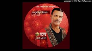 Aregahegn WorashZelel Zelel [upl. by Amal]