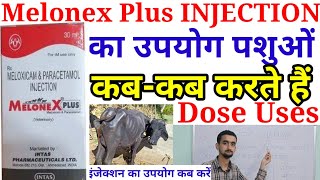 Melonex Plus Injection Veterinary Medicineपशुओं में किन रोगों में काम करता हैMelonex Vet Medicine [upl. by Lincoln]