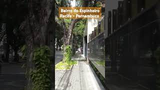 Bairro do Espinheiro  Recife [upl. by Shurwood241]