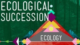 Ecological Succession Change is Good  Crash Course Ecology 6 [upl. by Letnuahs]