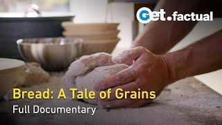 Bread From Grain to Daily Nourishment  Full Documentary [upl. by Alakim488]