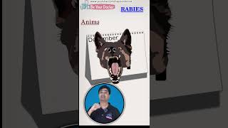 Rabies vaccine schedule  How much rabies vaccine dose given [upl. by Nosnor]