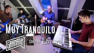 Gramatik  Muy Tranquilo full band cover [upl. by Devinne]