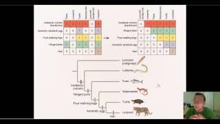 Using Probability amp Parsimony to Construct Phylogenic Trees [upl. by Plato]