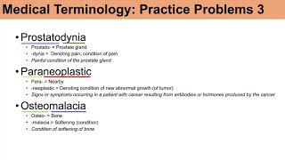 Medical Terminology  The Basics and Anatomy  Practice Lesson 4 [upl. by Idelia]