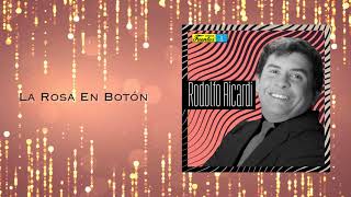 La Rosa En Botón  Los Hispanos  Discos Fuentes Audio Oficial [upl. by Sidran]