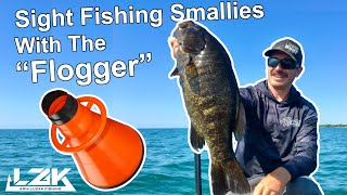 Nearly 26lbs of Lake Ontario Smallmouth Bass while using a Flogger [upl. by Madra662]