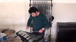 The Magic Flute  Glockenspiel  Vincenzo Raddato [upl. by Ashling]