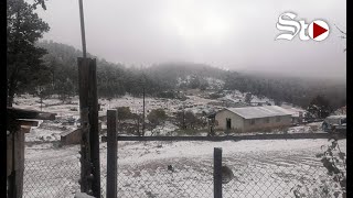 Cerca probabilidad de nevada en Durango el municipio ya registra plumeo [upl. by Trina]