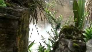 Punakaiki Blowholes and Pancake Rocks New Zealand [upl. by Yasnyl]