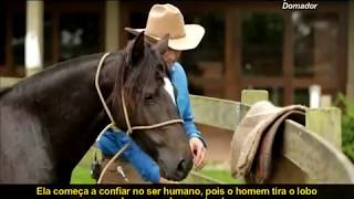 Monty Roberts mostra como TRABALHAR àreas SENSÍVEIS [upl. by Jalbert]