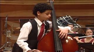 Dragonetti Doublebass Concerto · Rubén Rodríguez · Orquesta Sinfónica Juvenil de Caracas [upl. by Ninette94]