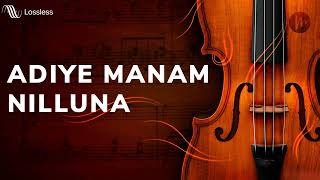 Adiye Manam Nilluna  Neengal Kettavai  24 BIT Song  A Timeless Tamil Classic [upl. by Menis]