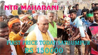 NTR MAHARANI FIRST PRICE 150000 SATHUMPUR STREET ksvenkatvlogs eruthukattu ntrmaharani [upl. by Manvell]