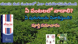 Abacin insecticide in telugu  crystal abacin insecticide  Abamectin  abacin mirchi  abacin dose [upl. by Keelia210]