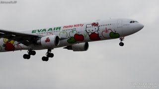 ハローキティジェット エバー航空 A330300着陸  Eva Airways A330300 LandingB16332 [upl. by Olyhs44]