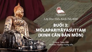 Buổi 3 Mūlapariyāyasuttaṃ  Kinh Căn Bản Môn  Đọc Hiểu Trung Bộ Kinh Pāḷi Sư Thiện Hảo [upl. by Etra]