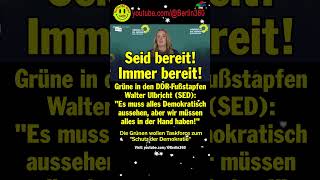 Grünen Bundeskanzler taskforce Afd BSW thüringen sachsen DDR SED demokratie putin schutz [upl. by Aneda]