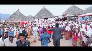 Wedding of Kifil Zere and Roza Simon quotብርጀዲ መዓብዲquot Eritrea Enchinaq Part two [upl. by Dagney]