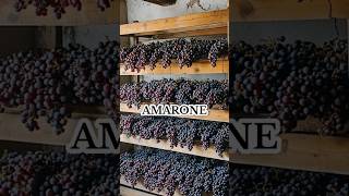 Amarone Şarabı şarap [upl. by Maryly]