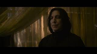 Snape is The Worst Owl Ever  4K Scene [upl. by Danyluk]