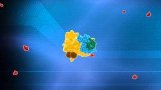 Ubiquitin System Animation  Nobel Prize in Chemistry 2004 Technion [upl. by Salvidor640]