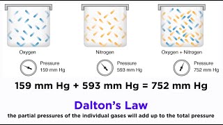 Daltons Law and Partial Pressures [upl. by Mona860]