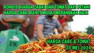 Harga cabai hari ini 20 Mei 2024  Info harga tomat dan cabai saat ini di Jawa Timur [upl. by Baron]