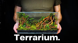 Creating a Miniature Jungle In a Glass Box Nano Terrarium Tutorial [upl. by Adeuga407]