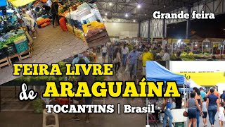 Conheça a FEIRA LIVRE de Araguaína no TOCANTINS feiralivre tvpaulogalego [upl. by Chere]