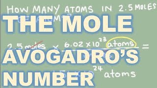 The Mole and Avogadros Number Chemistry [upl. by Goldsworthy833]