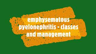 Emphysematous pyelonephritis  Classes 1 to 4management for md residents [upl. by Mays]