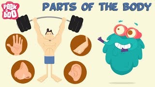 Parts Of The Body  The Dr Binocs Show  Learn Videos For Kids [upl. by Robinson]