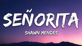 Shawn Mendes Camila Cabello  Señorita Lyrics Letra 1 Hourr Loop [upl. by Orest919]