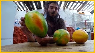 HOW TO PICK A PICK A GOOD PAPAYA AT THE MARKET [upl. by Edita]